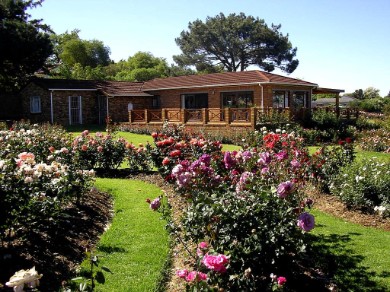 Durbanville Rose Garden